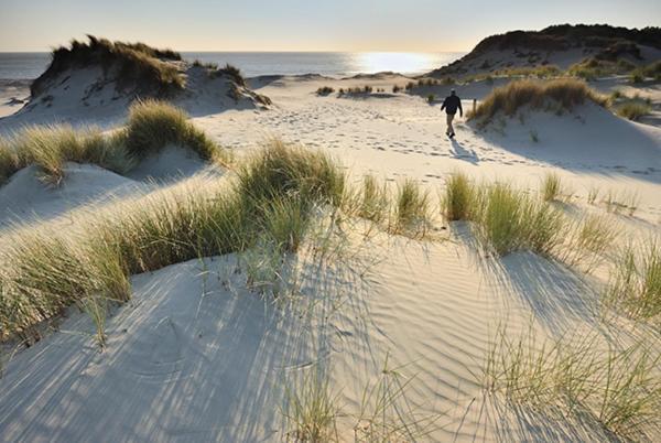 Heerlijk Vrijstaand Huis Aan De Duinen Burgh-Haamstede Kültér fotó